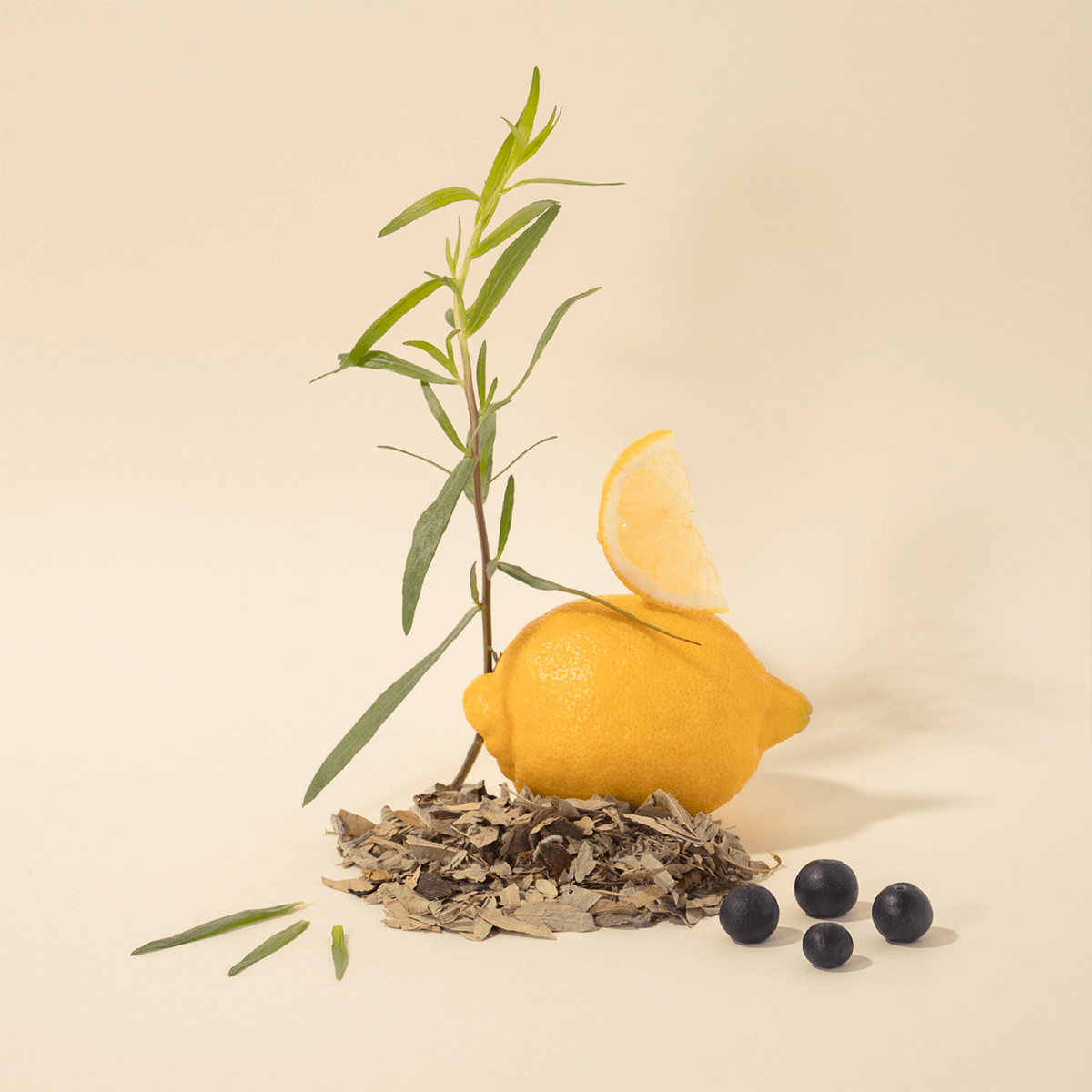 Liquid Soap Marseille - Delicate 300 ml