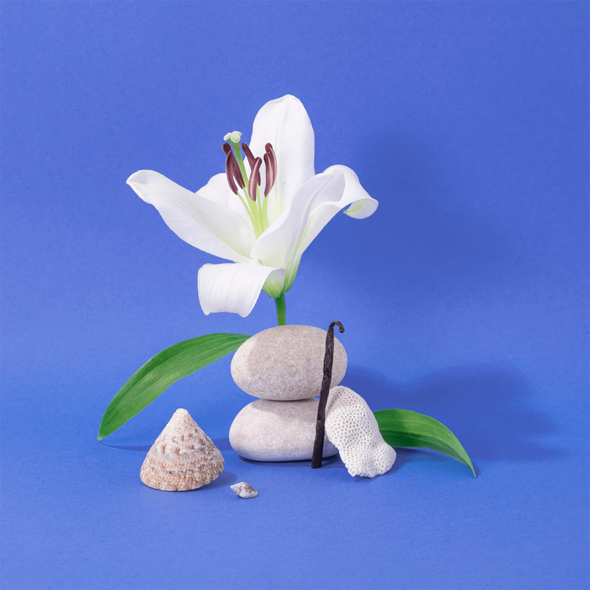 Hand Cream - Mediterranean Sea